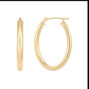 10K Resin POL Oval Hoops Earrings